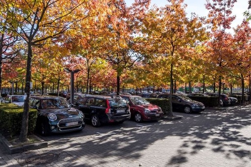 Accès aux parkings